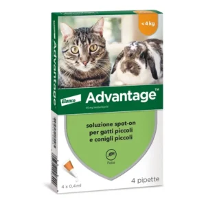 Advantage spot-on per gatti 4 pipette