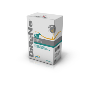 DiReNe pasta 15 ml