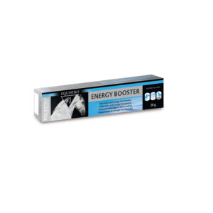 Energy Booster Equistro pasta orale cavallo 20 g
