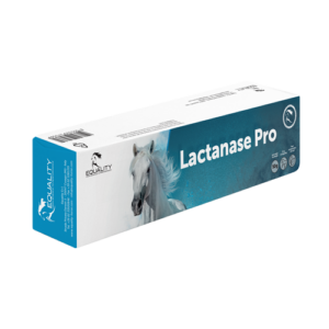 Lactanase Pro pasta siringa 50 g