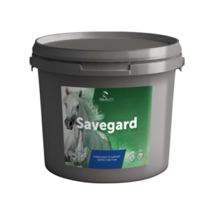 Savegard 3 kg