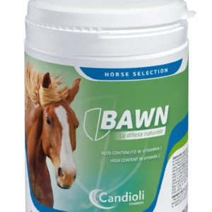 Bawn Candioli cavallo 600 g