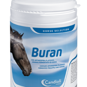 Buran Candioli cavallo 700 g