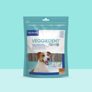 Veggiedent Fr3sh M 15 stick