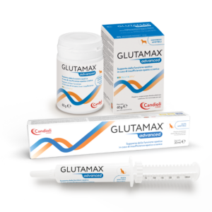 Glutamax Advanced cane 30 compresse