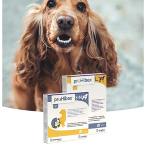 Prohibex bocconcini cani 30 pezzi