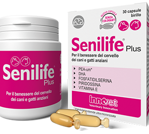 Senilife Plus 60 capsule
